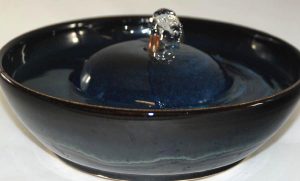 cat drinking fountain