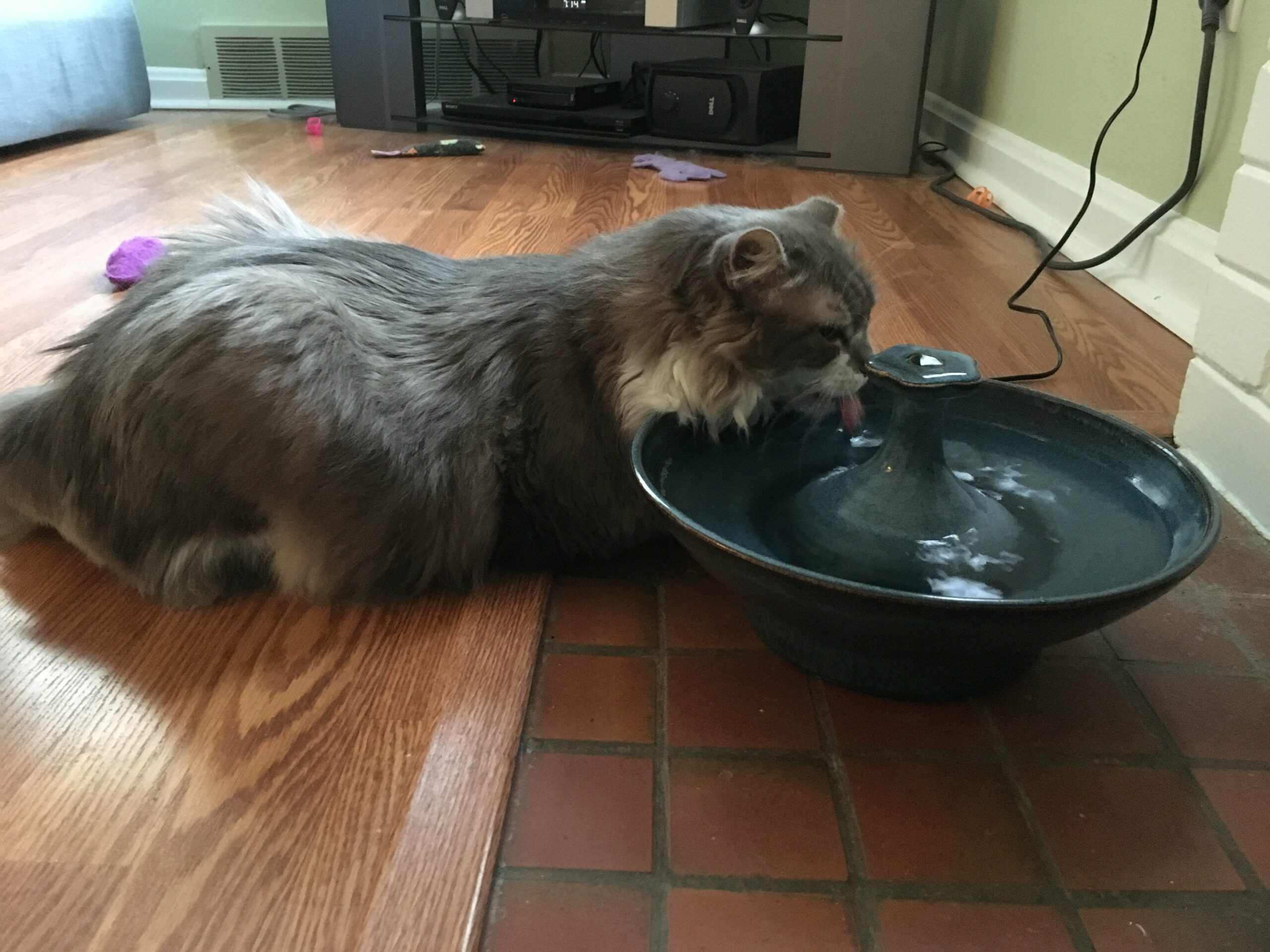 Blue Water Table - ThirstyCat Fountains