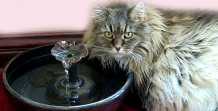 ThirstyCat Cat Fountains