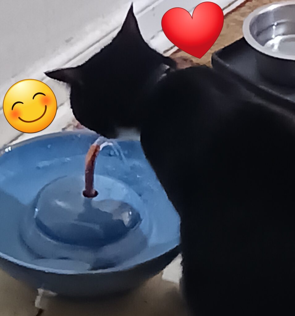 20230808 105316 Cat Fountain Customer Reviews