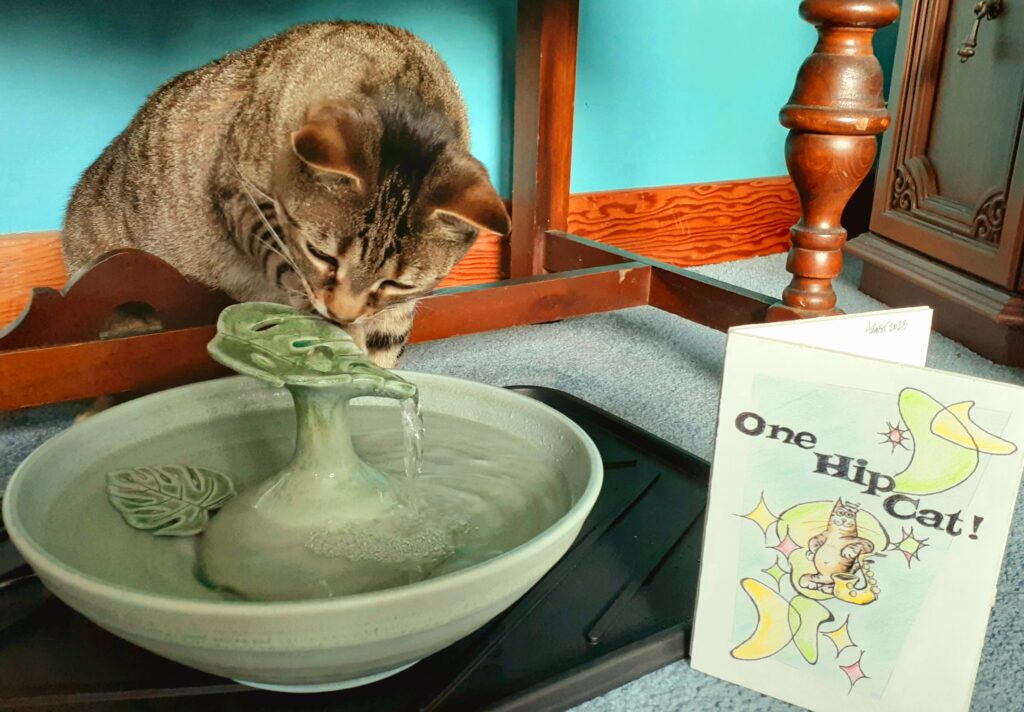 20230814 085835 Cat Fountain Customer Reviews