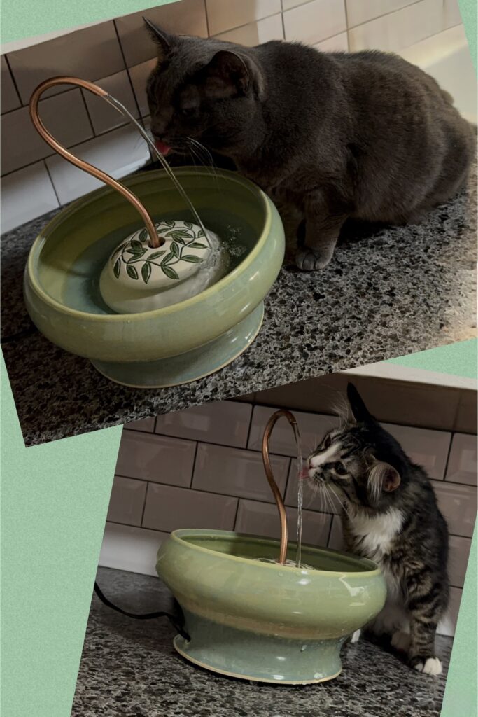 IMG 5966 Cat Fountain Customer Reviews