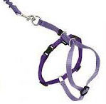 CAT HARNESS