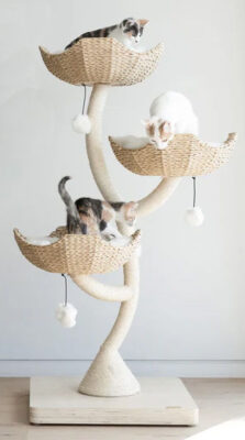 cat tree