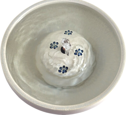 Photoroom-20250105_085834_1 copy