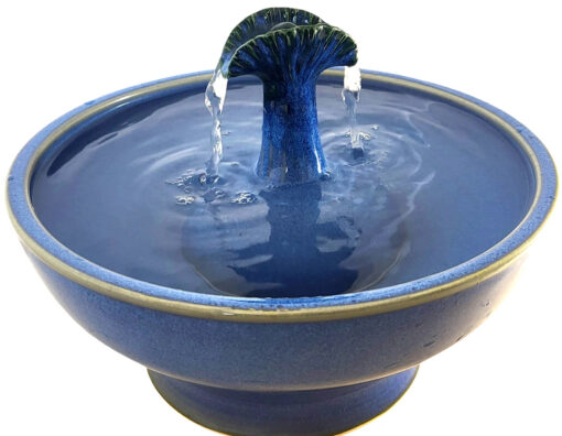 Photoroom-20250107_104546_1 copy