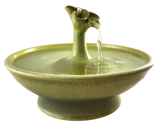 Photoroom-20250113_162257_11 copy