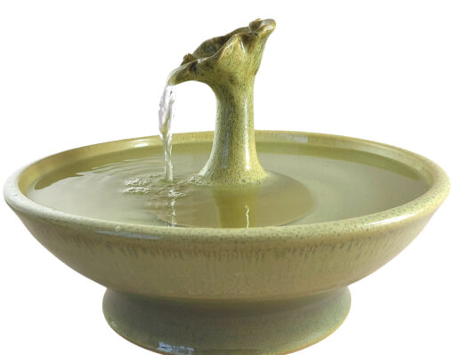 Photoroom-20250113_162257_8 copy