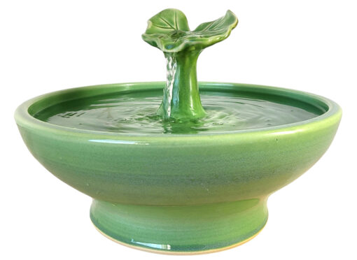 Photoroom-20250114_100241_6 copy