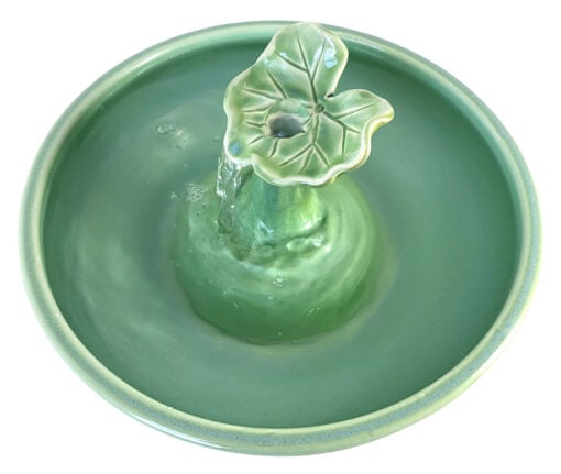 Photoroom-20250114_100241_8 copy