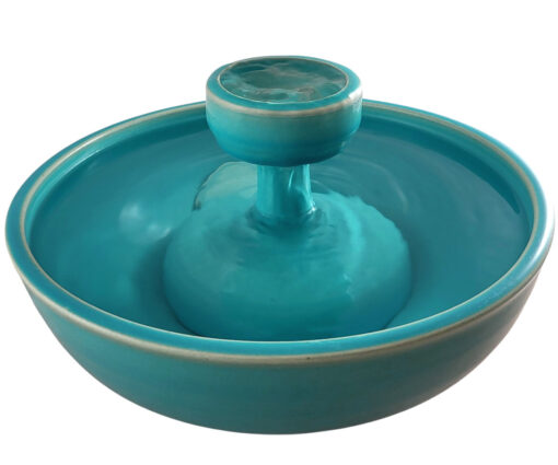 Photoroom-20250117_165640_4 copy