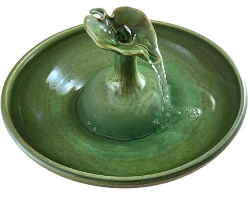 Photoroom-20250117_165641_29 copy