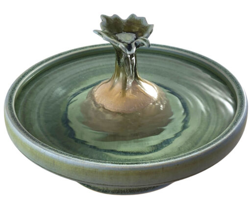 Photoroom-20250118_113917_1 copy