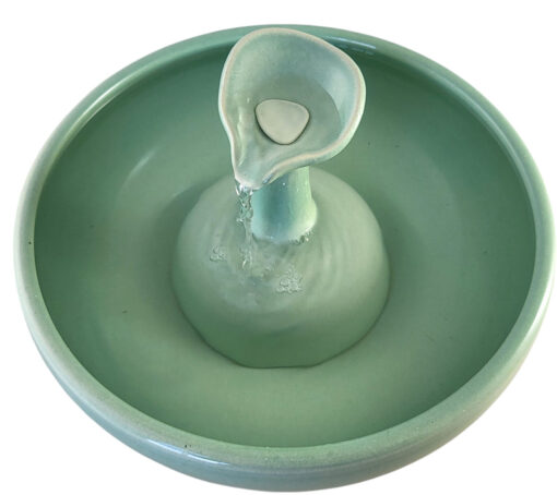 Photoroom-20250123_145610_1 copy