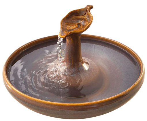 Photoroom-20250124_120724_2 copy