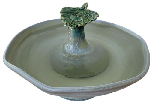 Photoroom-20250125_154641_10 copy