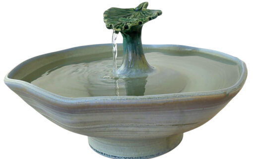 Photoroom-20250125_154641_11 copy