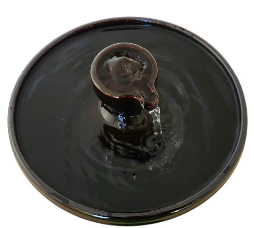 Photoroom-20250130_093433_3