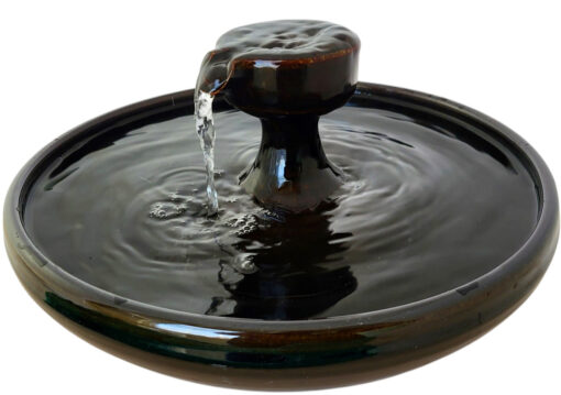 Photoroom-20250130_093433_6