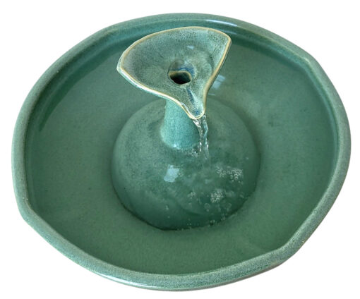 Photoroom-20250130_093434_24