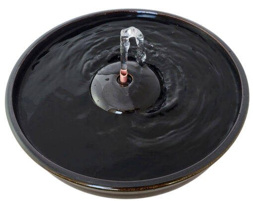 Photoroom-20250130_093434_33