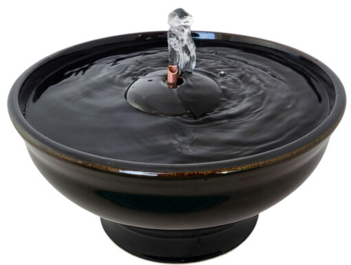 Photoroom-20250130_093434_34