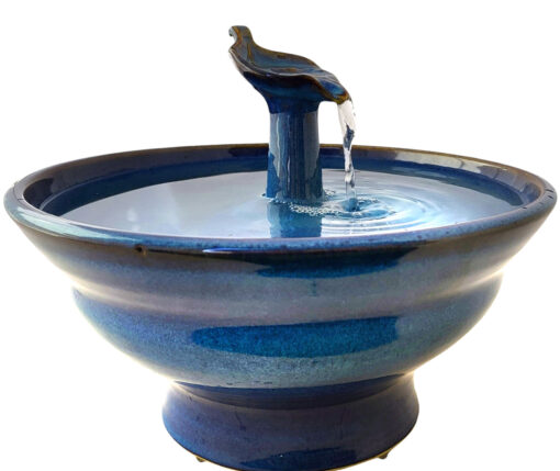 Photoroom-20250130_124850_31