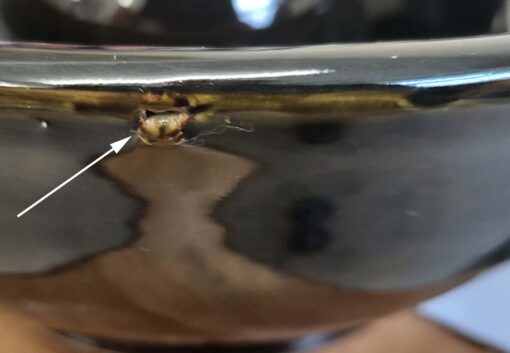 20250216_112954 copy