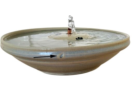 Photoroom-20250211_115342_22