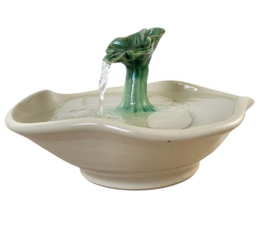 Photoroom-20250215_121943_11