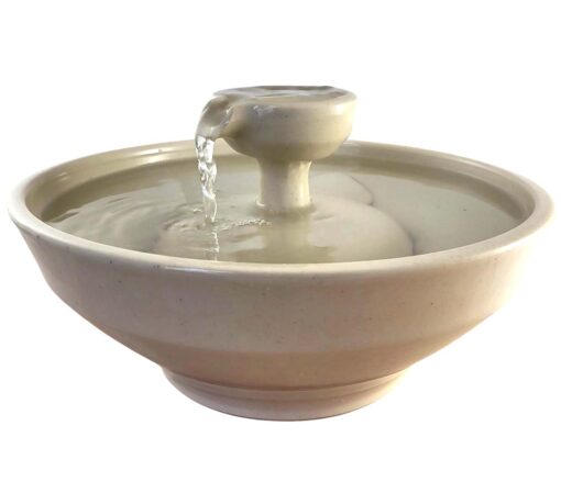 Photoroom-20250216_112412_7