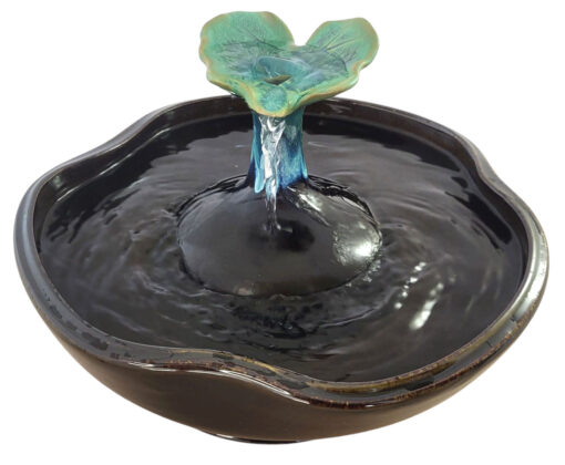 20250319_143512 copy