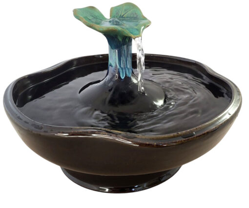 20250319_143523 copy