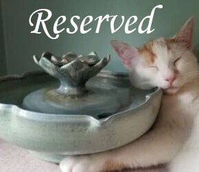 RESERVED FOR likecatsndogs