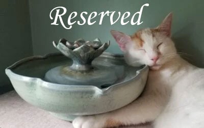 RESERVED for Lauren - Retrotable Enhanced Style Cat Fountain  (9 Cup)