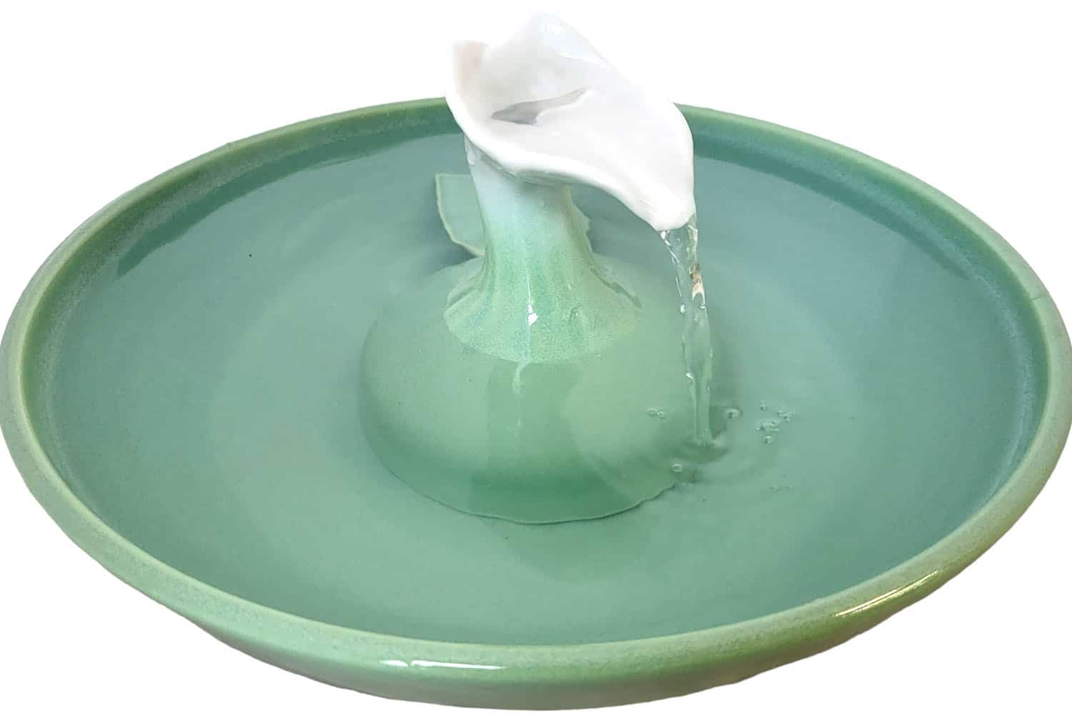 calla
