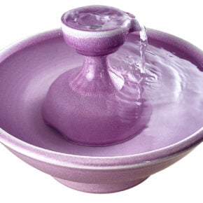 Violet Piazza Enhanced Style Cat Drinking Fountain (13 Cup)