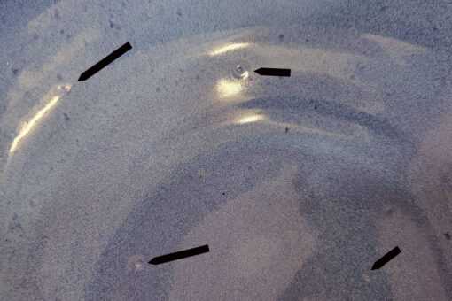 20250715_121832 copy