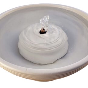 Cream Rings Enhanced Style Cat Drinking Fountain (10 Cup)