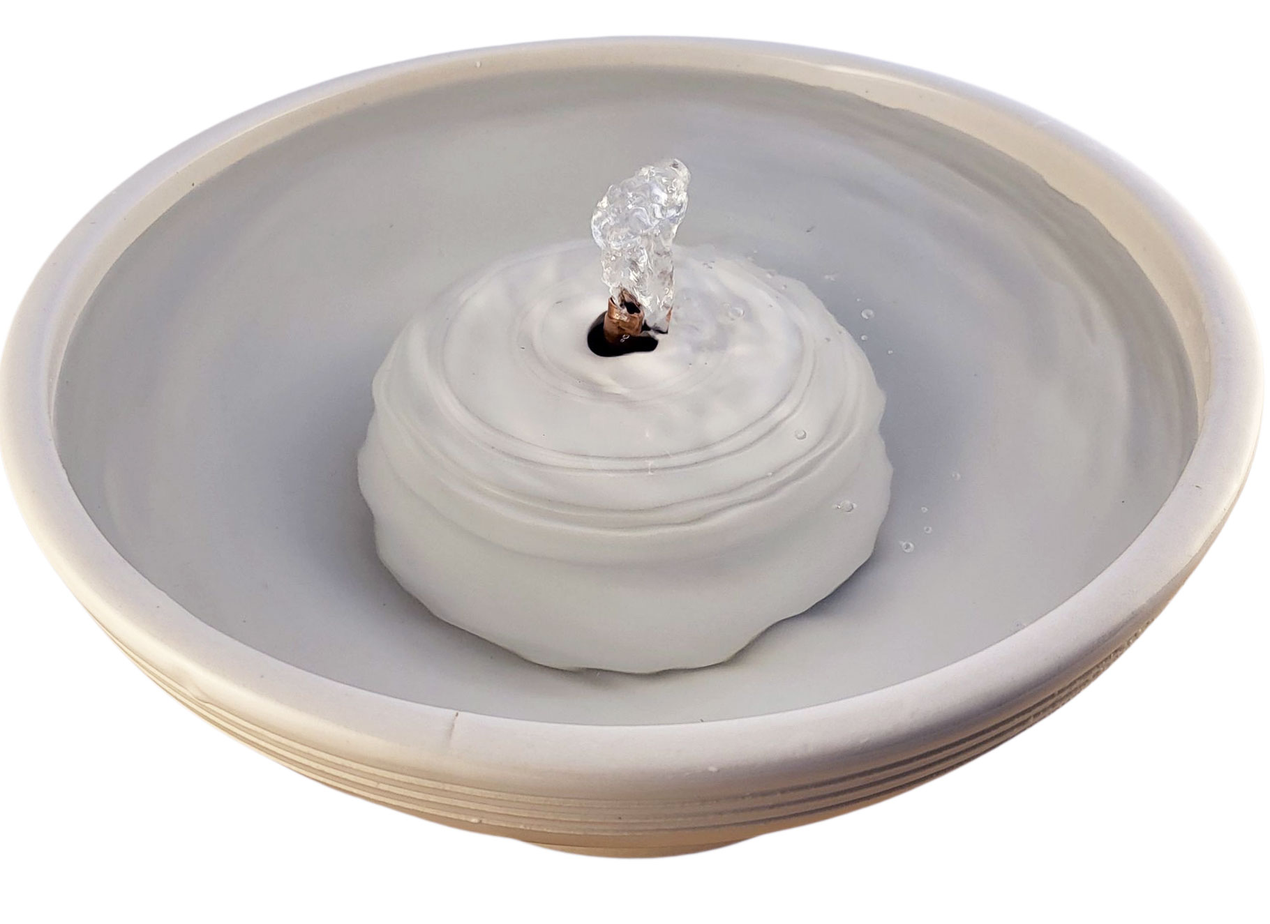 Cream Rings Enhanced Style Cat Drinking Fountain (10 Cup)