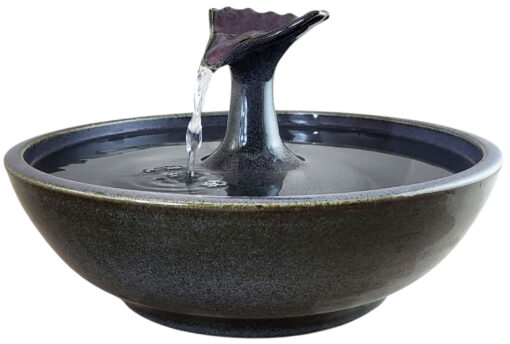 20251211_154037-Photoroom