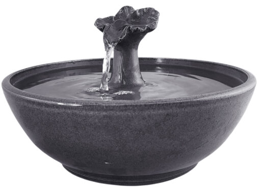 20251212_092101-Photoroom