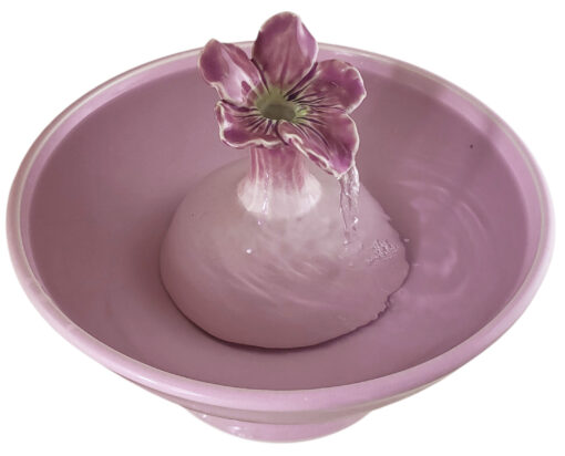 20251213_144945-Photoroom