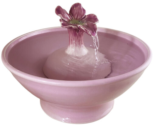 20251213_144948-Photoroom