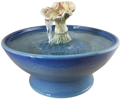 20251218_144805-Photoroom