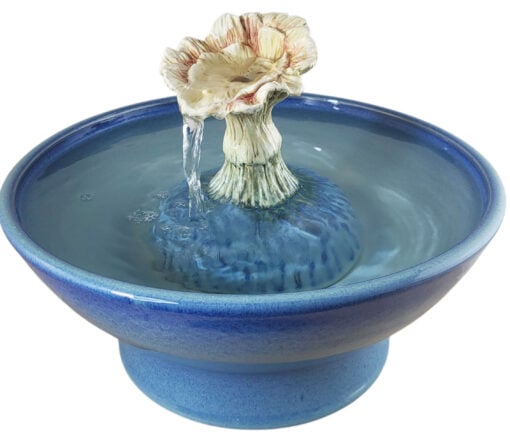 20251218_144808-Photoroom