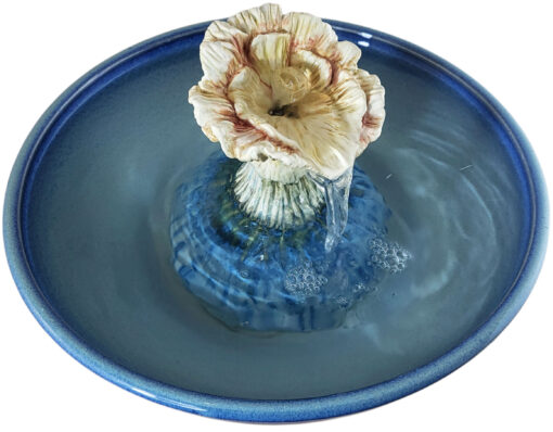 20251218_144818-Photoroom