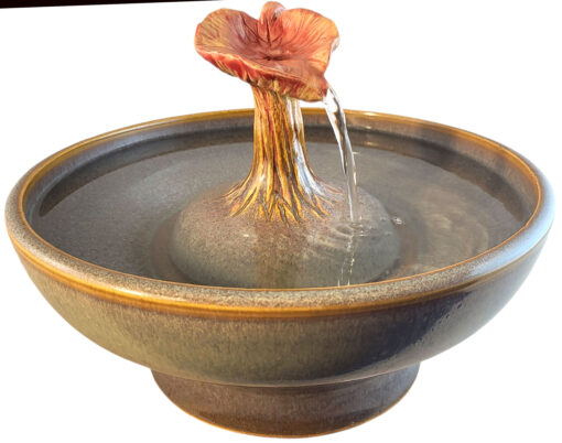 20251219_092009-Photoroom