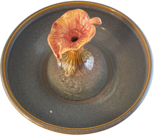 20251219_092038-Photoroom