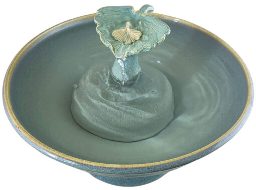 20251219_092738-Photoroom